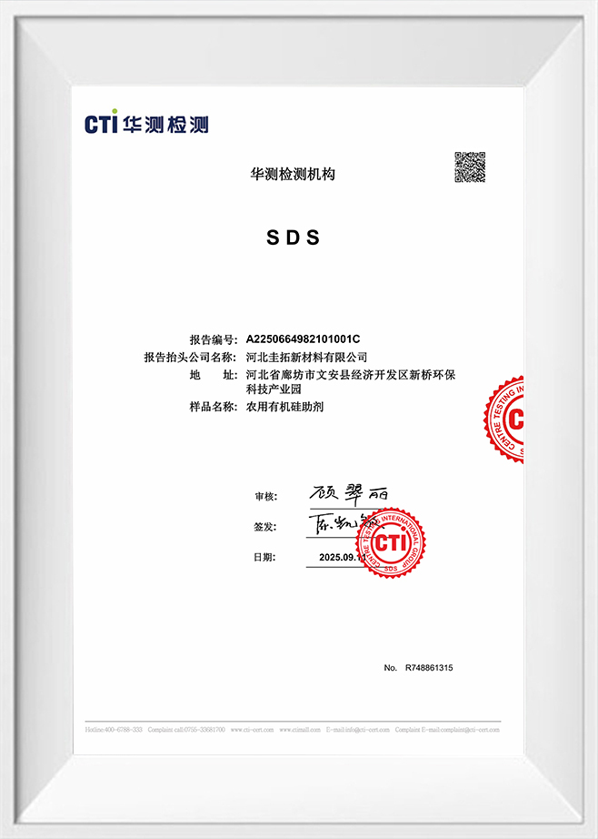 Centrum Testis Group Internationalis