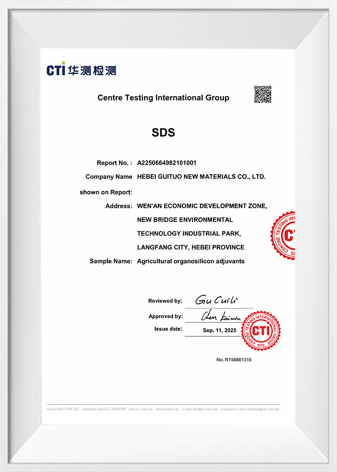 Centrum Testis Group Internationalis